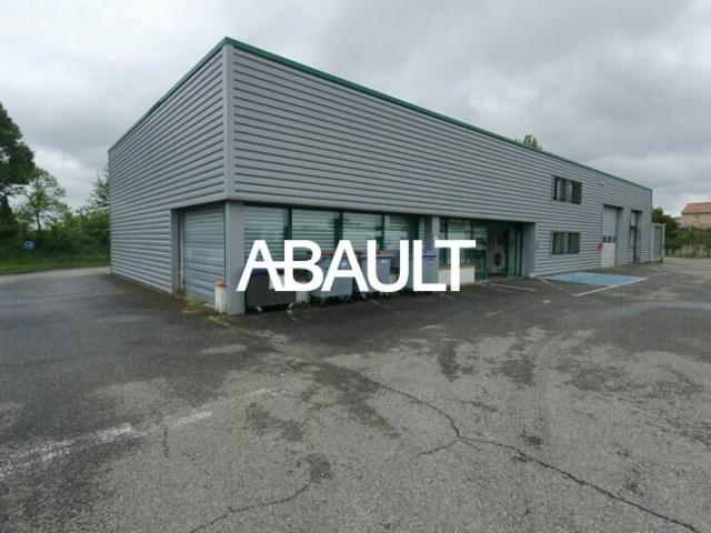 A LOUER AUZEVILLE LOCAL D'ACTIVITES D'UNE SURFACE D'ENVIRON 500 M² <br /><br />